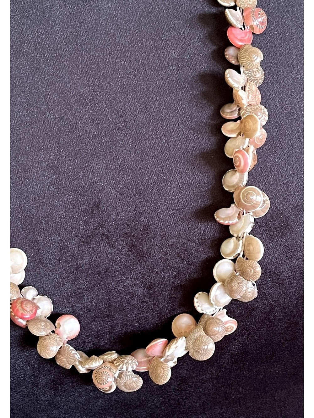 Handcrafted Multi-Color Shell Bead Necklace - Picture 2 of 8